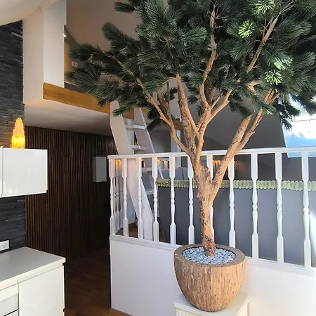 Coziness To The Max! Korter *